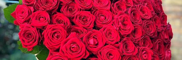 Berrylin1111 Profile Banner