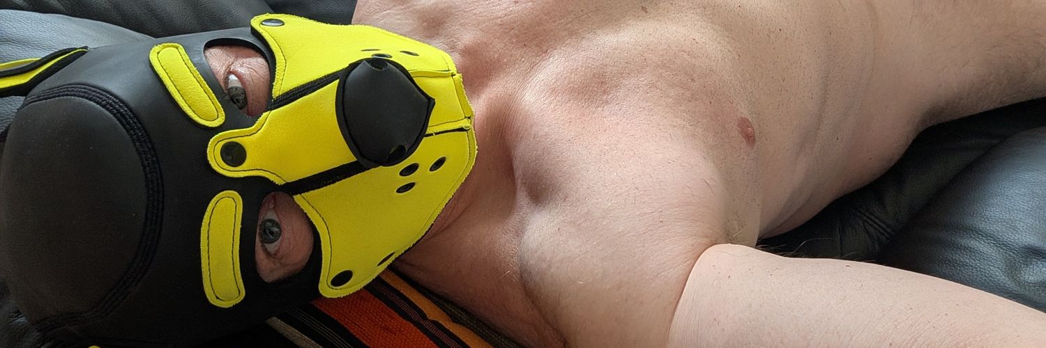 Argenpup's profile banner image