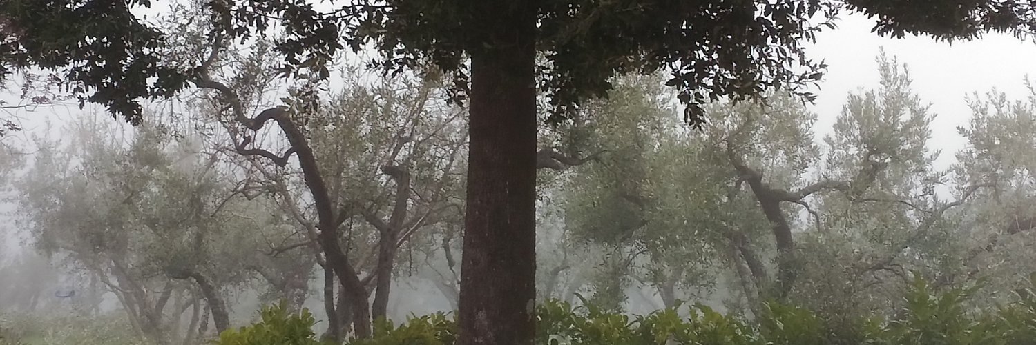 danielagiosue's profile banner image