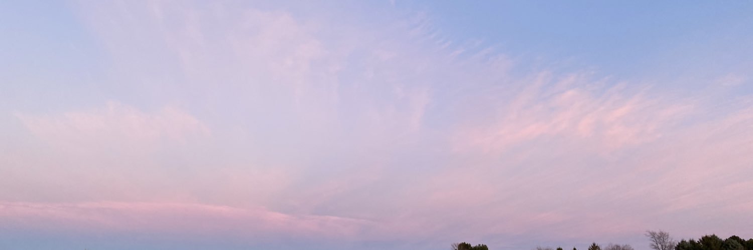 lexi schermann banner