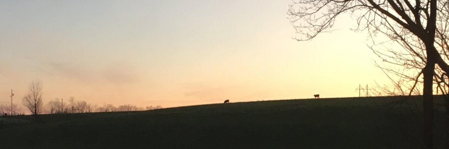 Angela Sparkman Evans banner