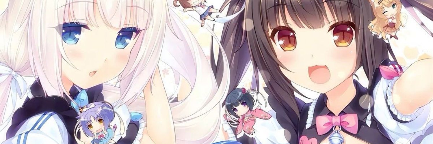 teffy ₊˚⊹ ♡ 🍥 banner