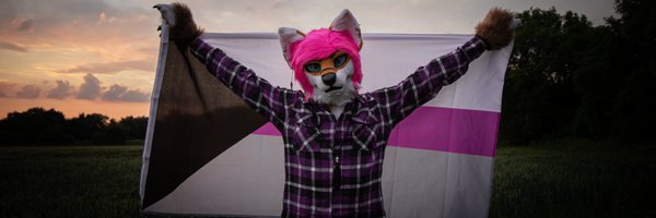caylenfoxheart Profile Banner