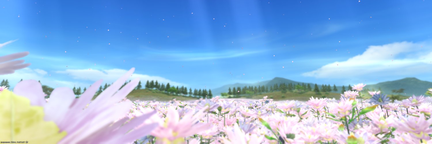 8hatty's profile banner image