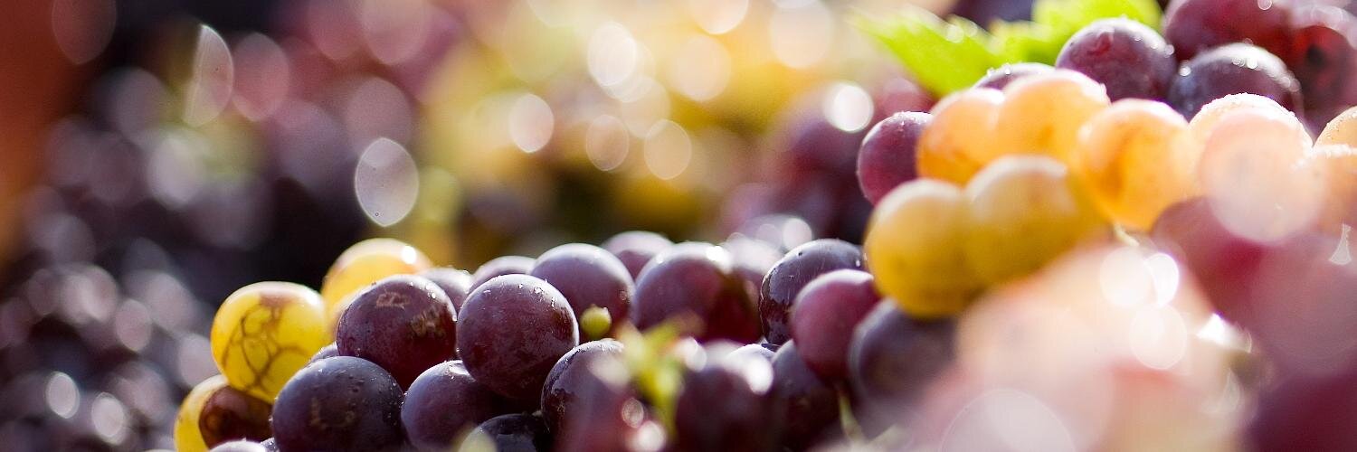 domainedesbernardins banner