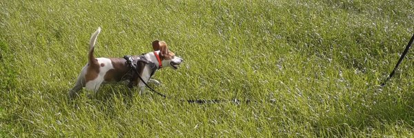 FletchCath Profile Banner