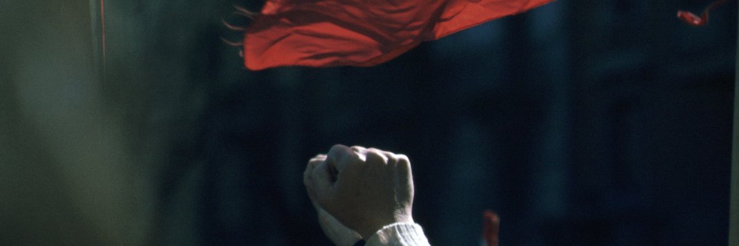 Massimiliano Stucchi banner