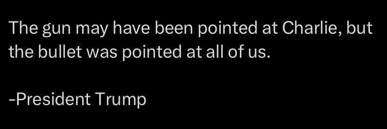 Nevervotingdemocratagain banner