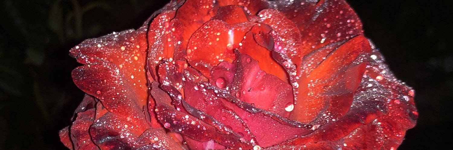 Tanyanicole89's profile banner image