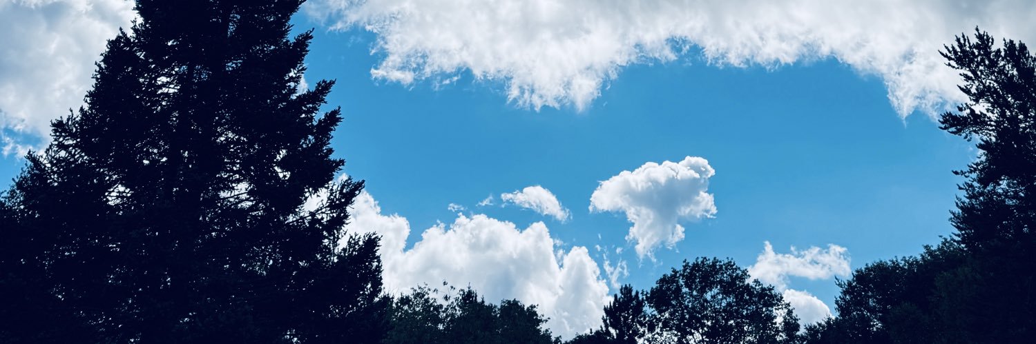 papag8's profile banner image