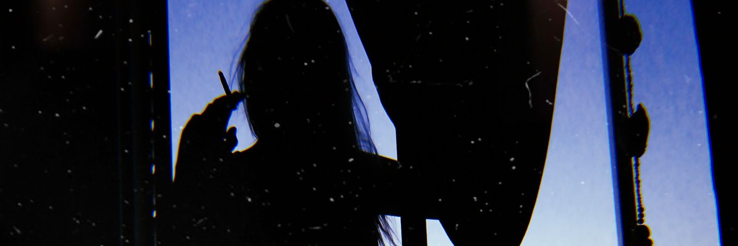 Lisi_Reichel's profile banner image