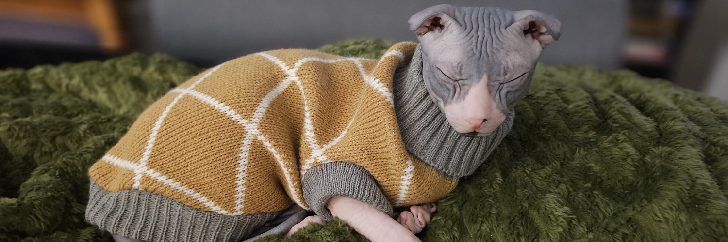 where agoraphobia&social responsibility intersect banner