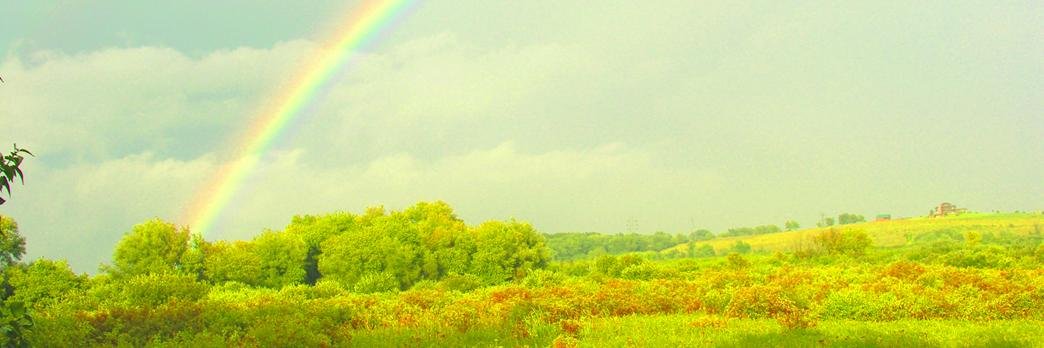 WaubesaPhyllis's profile banner image