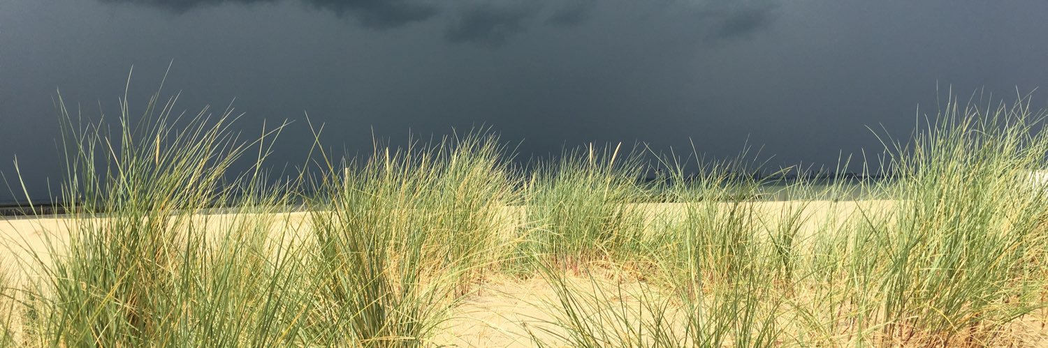 Dennis Reichert banner