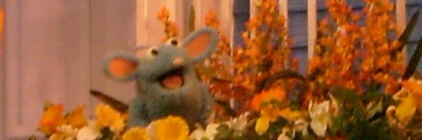 maimai748946 Profile Banner