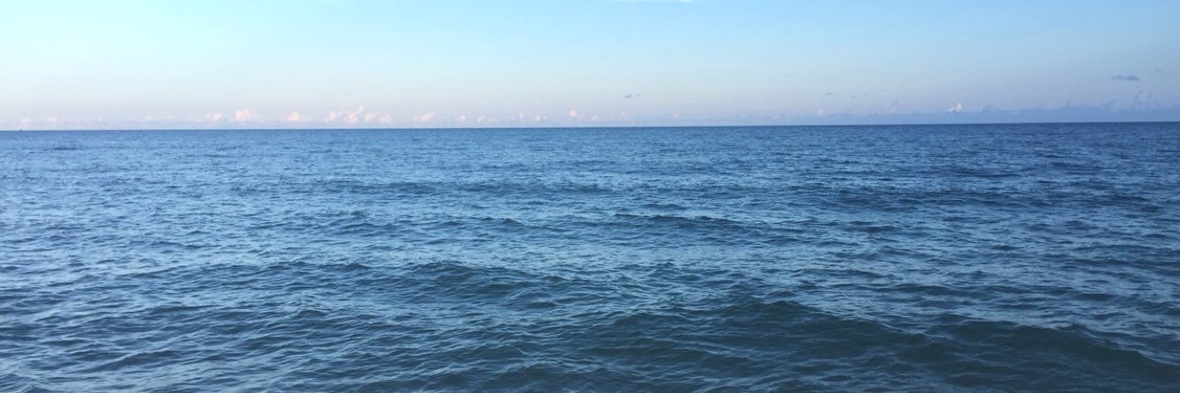 arynblumenberg's profile banner image