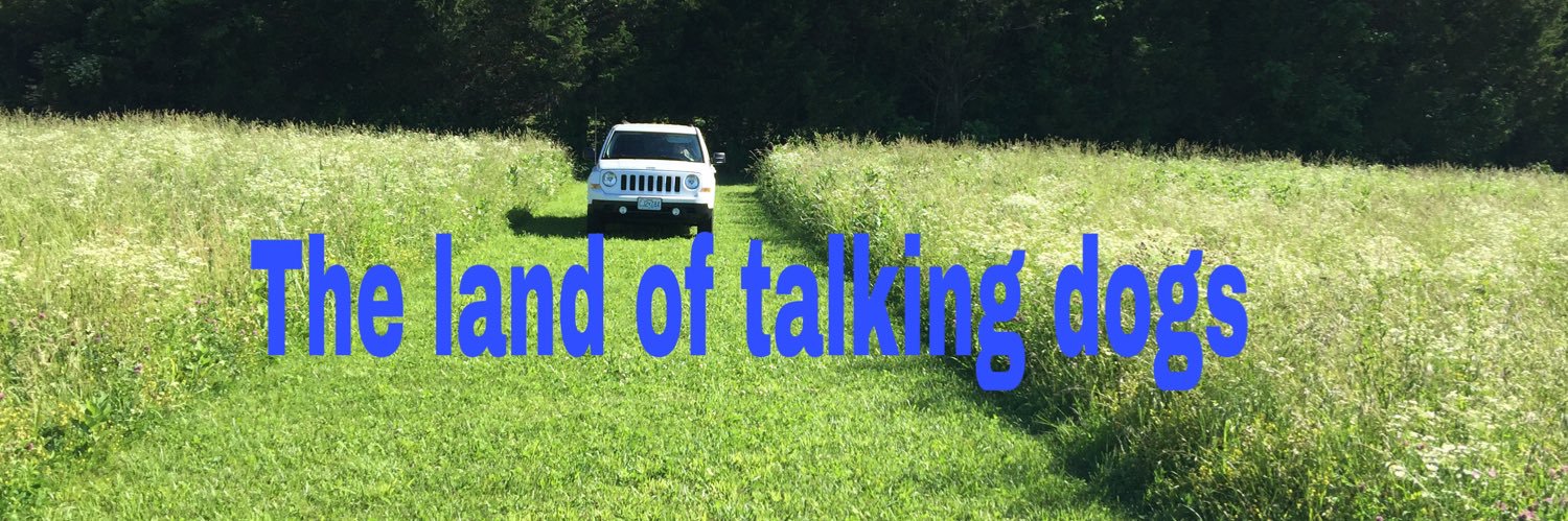 billyg67's profile banner image