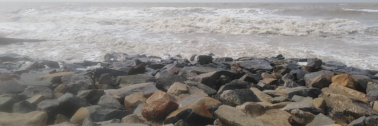 chiranjitnaskar's profile banner image