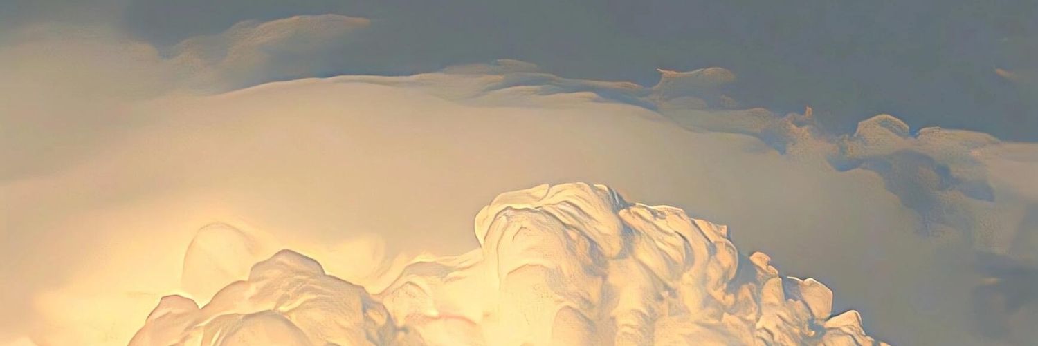 东方蓝 banner