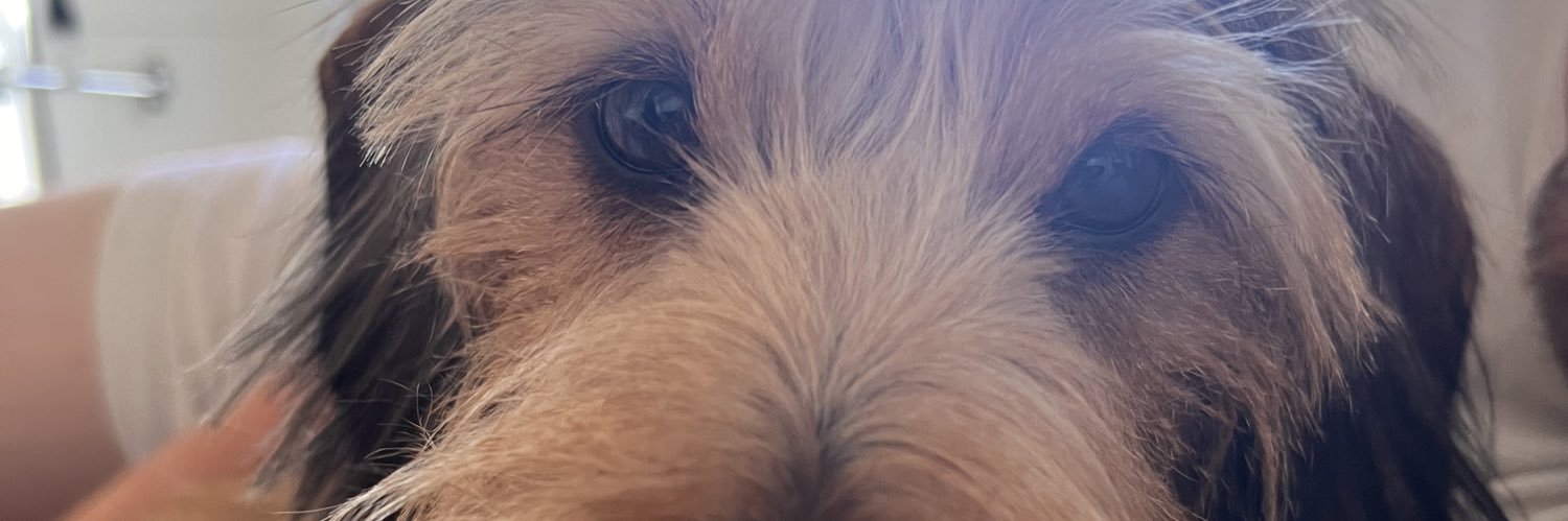 Onirevlops's profile banner image