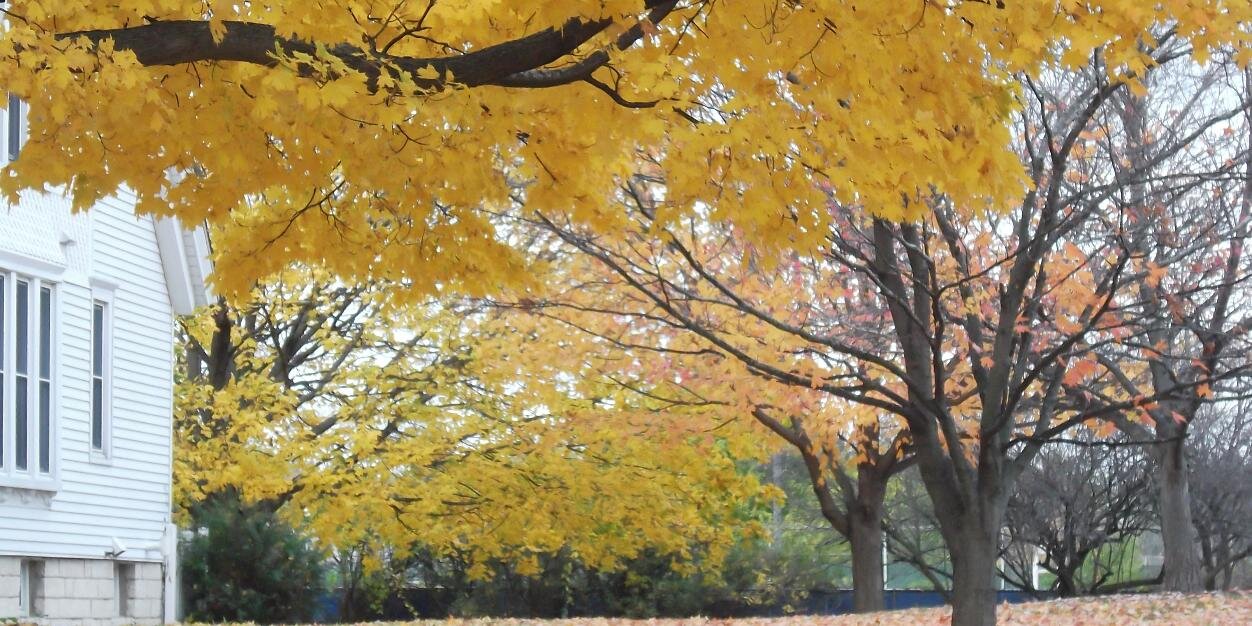 orwigwrites's profile banner image