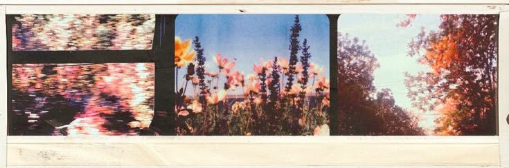 eva ⋆. 𐙚 ˚ banner