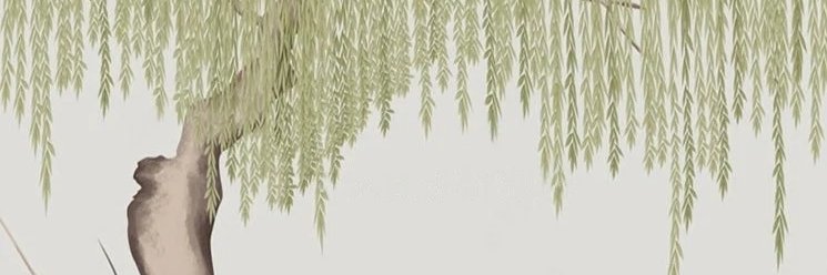 Willowtreeclass banner