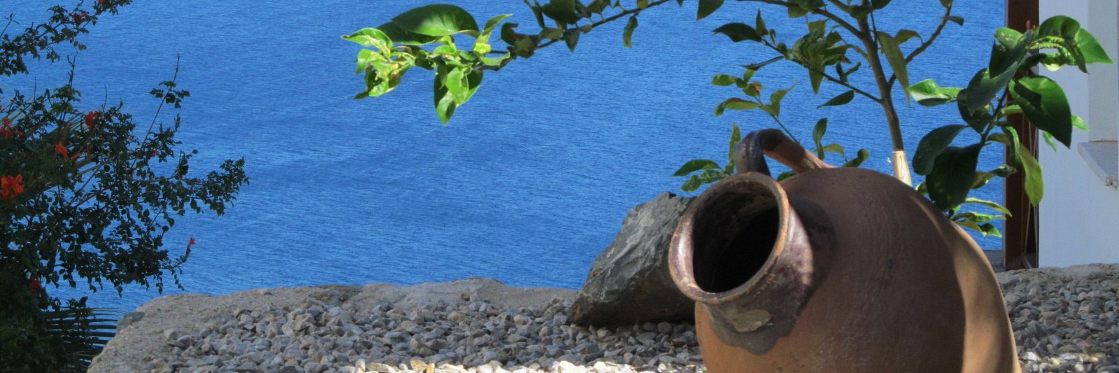 pomella's profile banner image