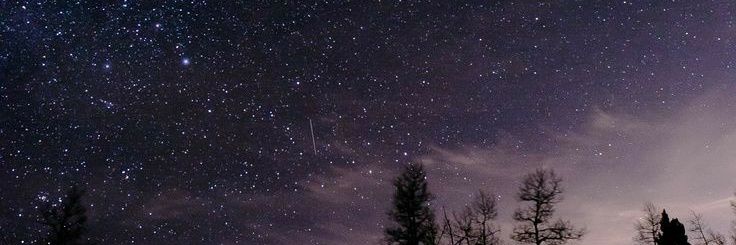 speckofdust___'s profile banner image