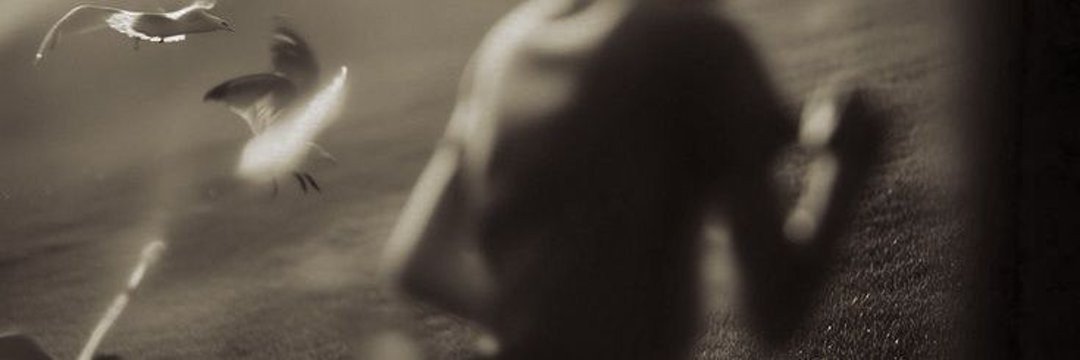 memoarsisa's profile banner image