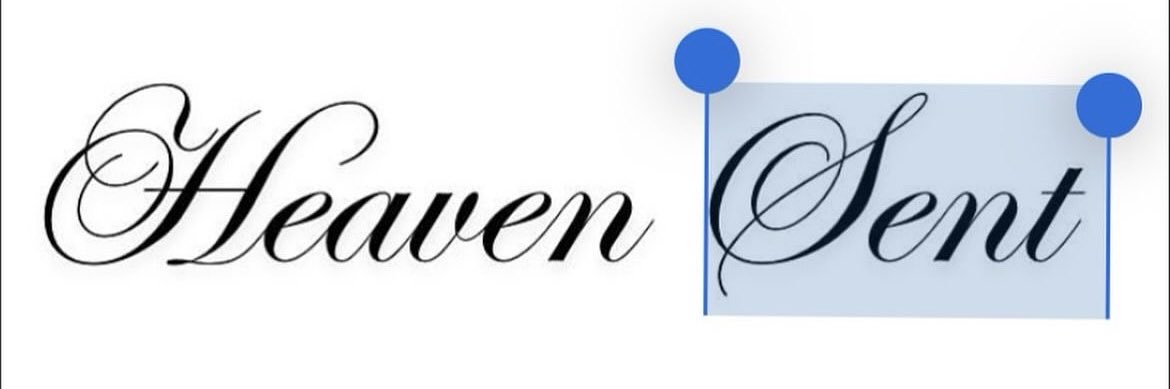 Princess nunuah banner