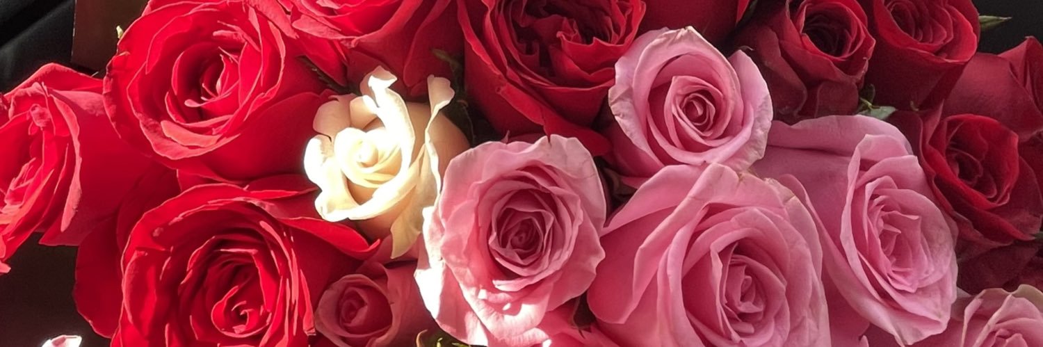 sofiagarccia's profile banner image