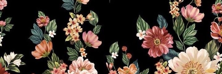 DramaticParrot's profile banner image