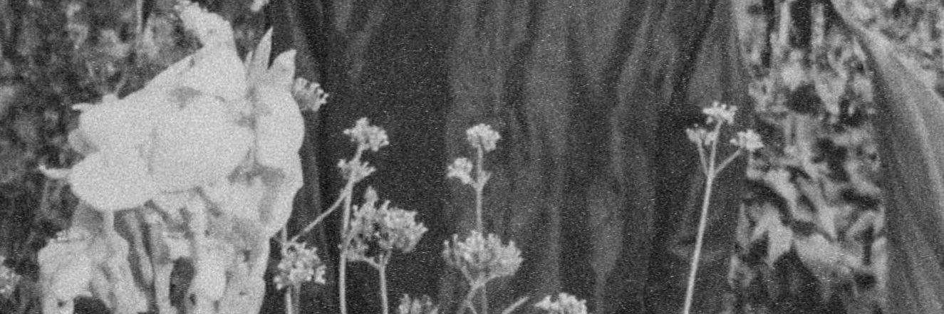 lostasrevive's profile banner image