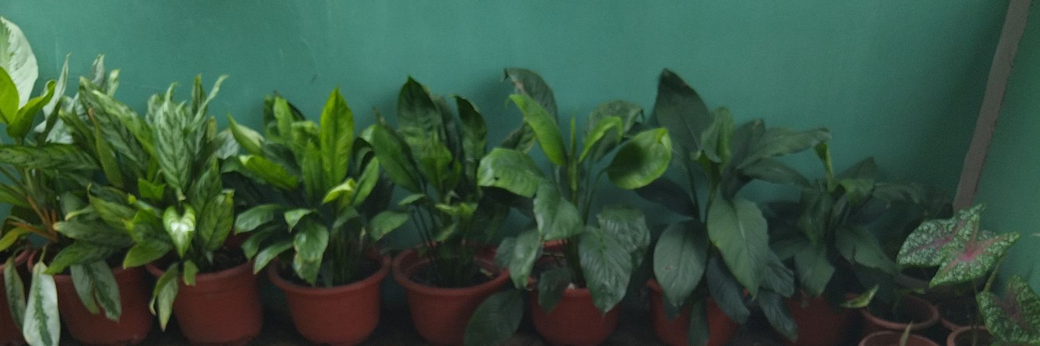 jencabz's profile banner image