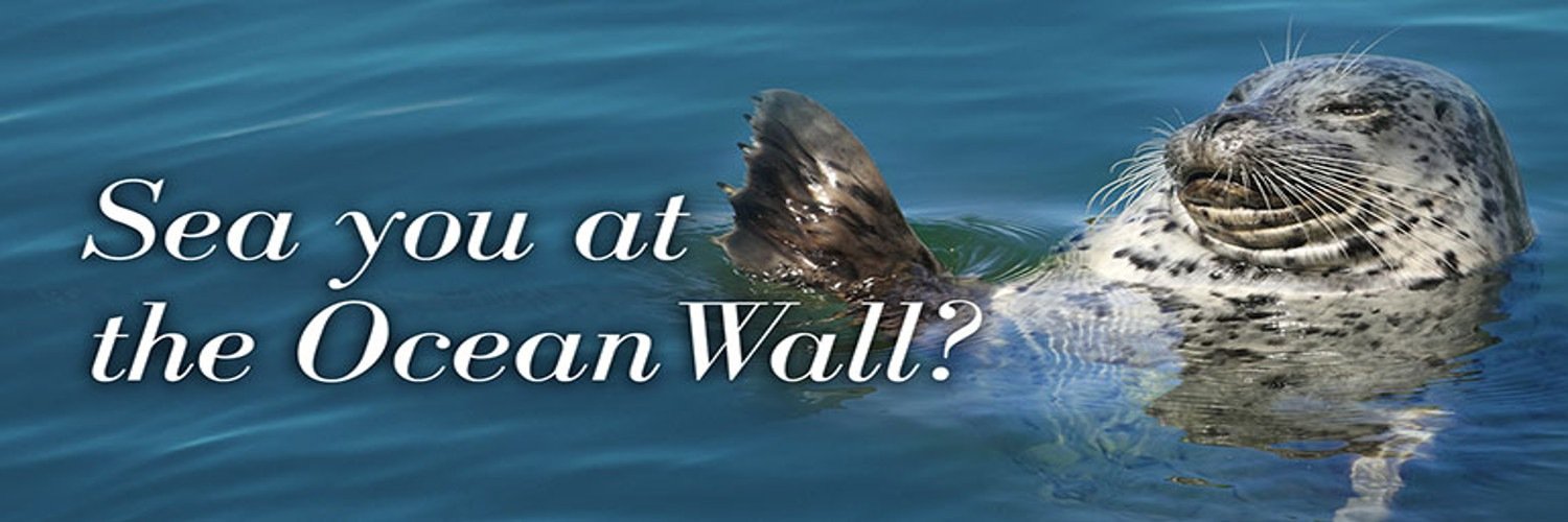 OceanWalls's profile banner image