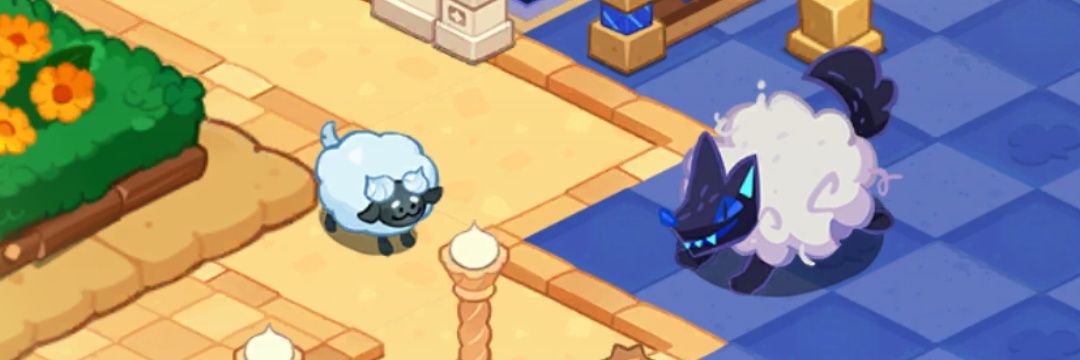 • 🌙 • ꒰ dr.SLEEP banner