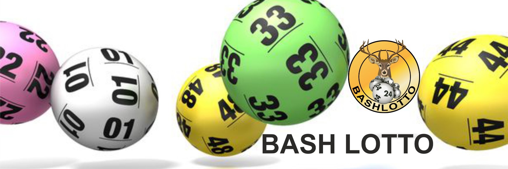 BASHLOTTO banner