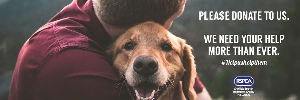 RSPCA Sheffield banner