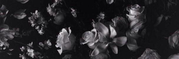 vReem_'s profile banner image
