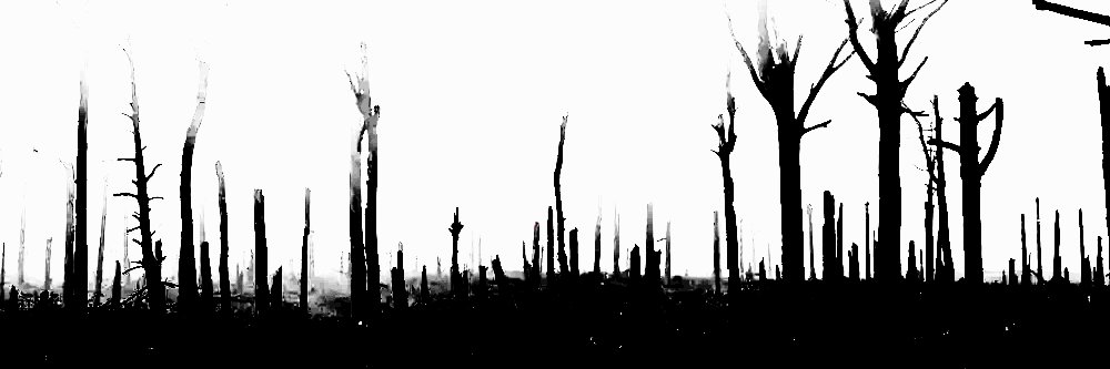 (read pinned) unharmony 🏳️‍⚧️ banner