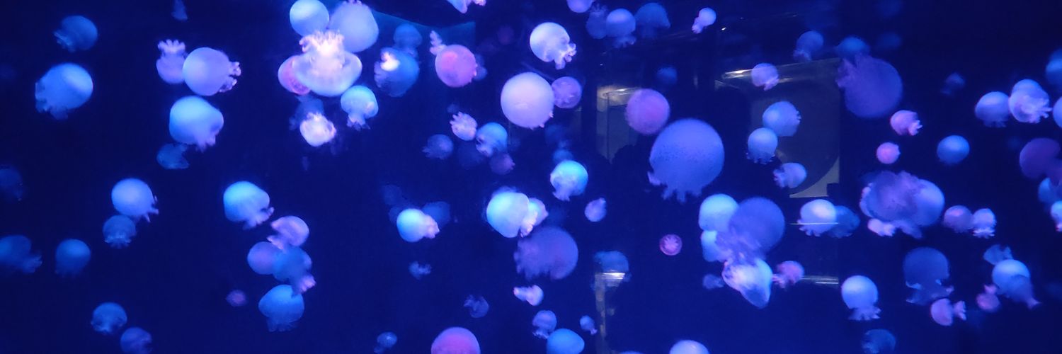 うさぎ banner