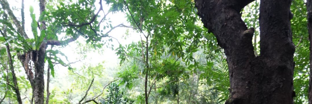 うの ｜感性のままに旅するライター banner
