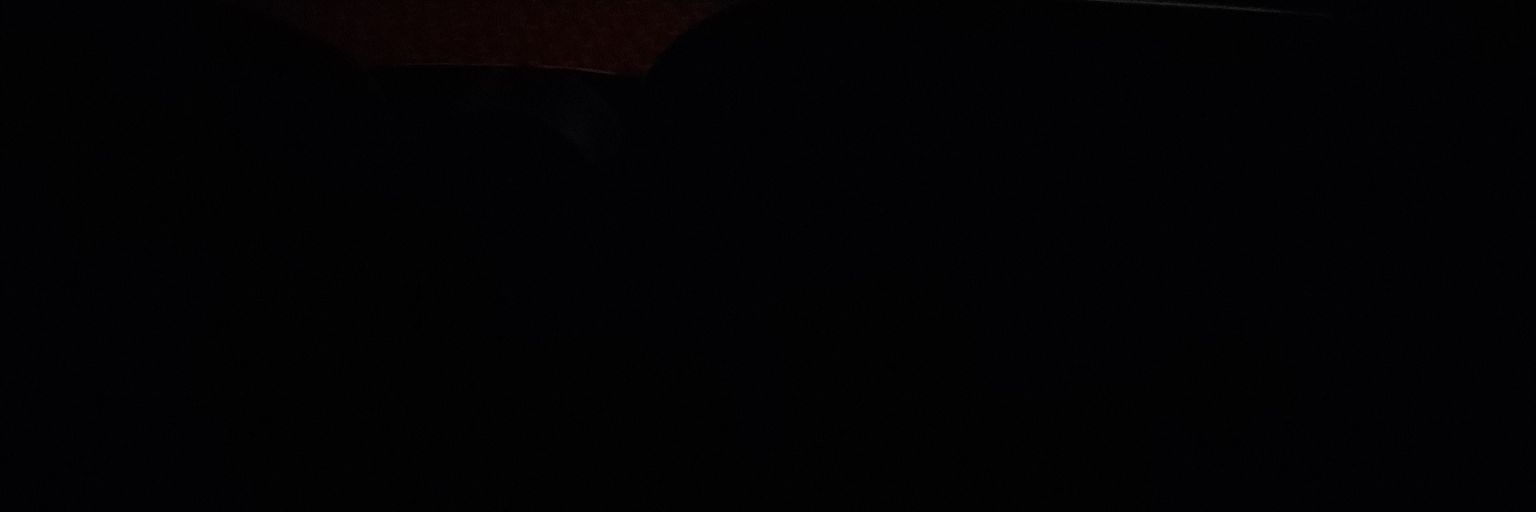 palewaevs's profile banner image
