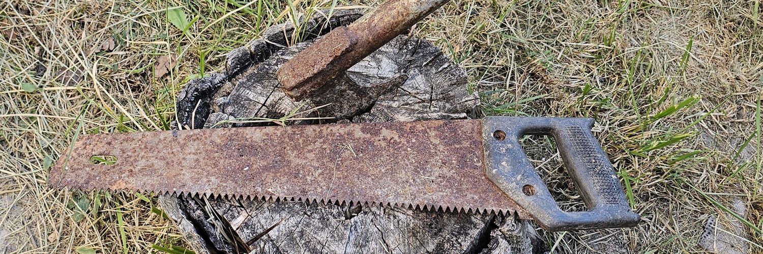 Vladyslav Surkov banner