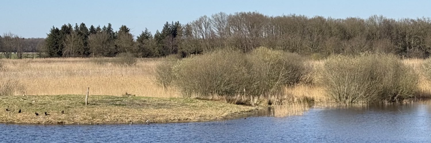 Teun Jan Kootstra banner