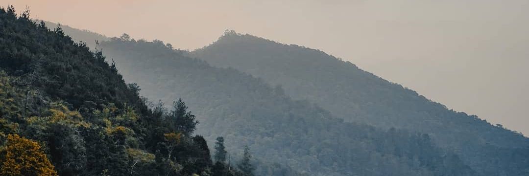 salmandazmi's profile banner image