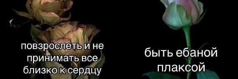 эля снова не спит banner