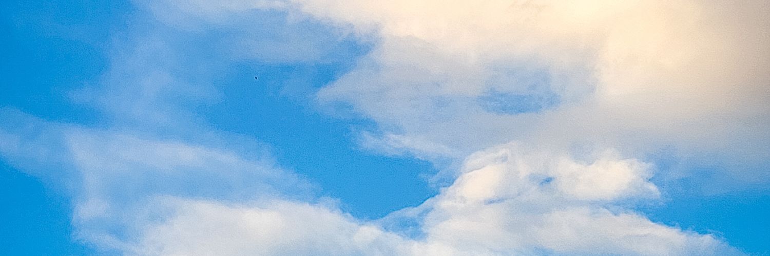 swandywisang's profile banner image