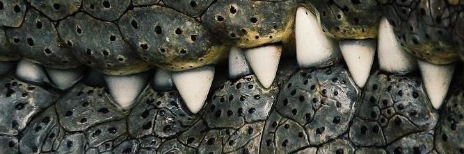 judithconjota's profile banner image